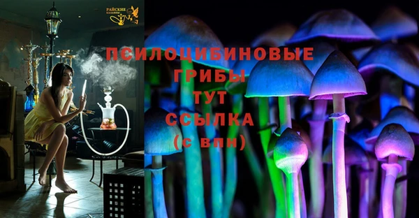 дмт Кинешма